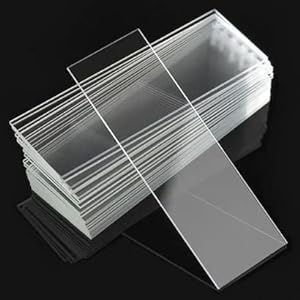 5 x Apollo Gold Micro Slide - Pack of 50 Slides